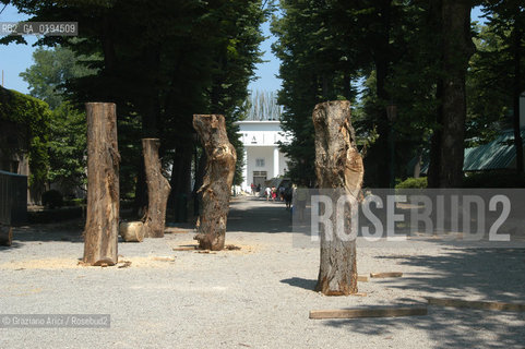 50¡ ESPOSIZIONE INTERNAZIONALE DARTE LA BIENNALE DI VENEZIA .- ©Graziano Arici/Rosebud2