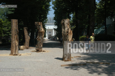 50¡ ESPOSIZIONE INTERNAZIONALE DARTE LA BIENNALE DI VENEZIA .- ©Graziano Arici/Rosebud2