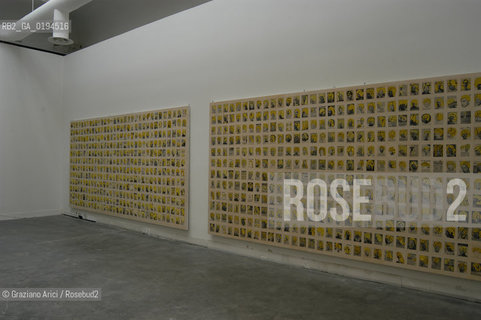 50¡ ESPOSIZIONE INTERNAZIONALE DARTE LA BIENNALE DI VENEZIA : ALLESTIMENTO DI ELLEN GALLENGER - ©Graziano Arici/Rosebud2