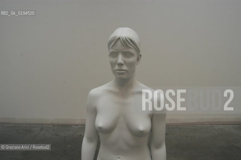 50¡ ESPOSIZIONE INTERNAZIONALE DARTE LA BIENNALE DI VENEZIA : SCULTURA DI CHARLES RAY - ©Graziano Arici/Rosebud2