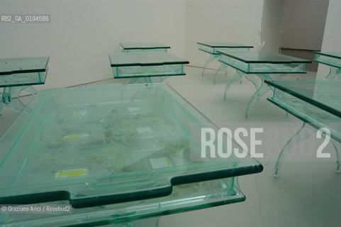 50¡ ESPOSIZIONE INTERNAZIONALE DARTE LA BIENNALE DI VENEZIA : PADIGLIONE ITALIA - LINSTALLAZIONE DI MATTHEW BARNEY  - © 2003 Graziano Arici/Rosebud2