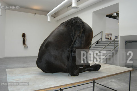 50¡ ESPOSIZIONE INTERNAZIONALE DARTE LA BIENNALE DI VENEZIA : PADIGLIONE ITALIA - LINSTALLAZIONE DI BERLINDE DE BRUTCKERE - © 2003 Graziano Arici/Rosebud2