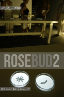 50¡ ESPOSIZIONE INTERNAZIONALE DARTE LA BIENNALE DI VENEZIA ISRAEL PAVILLION INSTALLATION OF THE ARTIST MICHAL ROVNER  © 2003 Graziano Arici/Rosebud2/GRAZIA NERI