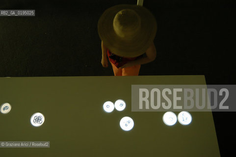 50¡ ESPOSIZIONE INTERNAZIONALE DARTE LA BIENNALE DI VENEZIA ISRAEL PAVILLION INSTALLATION OF THE ARTIST MICHAL ROVNER  © 2003 Graziano Arici/Rosebud2/GRAZIA NERI