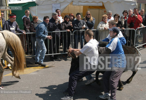 ARLES (PROVENCE, FRANCE) APRILE 2004 LA FERIA DI PASQUA  ABRIVADO ©Graziano Arici/Rosebud2 CORRIDA TORO TORERO
