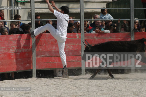 ARLES (PROVENCE, FRANCE) APRILE 2004 LA FERIA DI PASQUA  ABRIVADO ©Graziano Arici/Rosebud2 CORRIDA TORO TORERO COURSE CAMARGUESE
