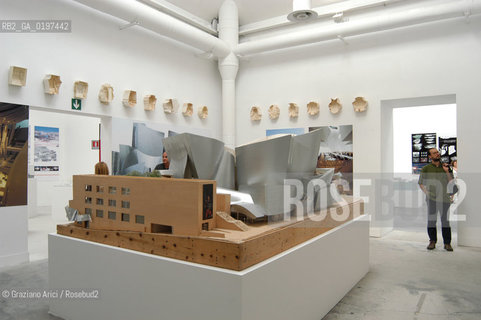 VENEZIA 09/09/04   - 9¡ MOSTRA INTERNAZIONALE DI ARCHITETTURA - BIENNALE ARCHITETTURA :  PADIGLIONE ITALIA : GEHRY PARTNERS, LLP WALT DINEY CONCERT HALL ©Graziano Arici/Rosebud2