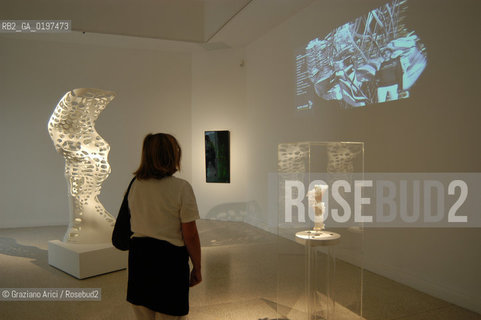 VENEZIA 09/09/04   - 9¡ MOSTRA INTERNAZIONALE DI ARCHITETTURA - BIENNALE ARCHITETTURA : PADIGLIONE USA - KOHL/MAC SUDIO : RESI_RISE SKYSCRAPER