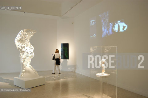 VENEZIA 09/09/04   - 9¡ MOSTRA INTERNAZIONALE DI ARCHITETTURA - BIENNALE ARCHITETTURA : PADIGLIONE USA - KOHL/MAC SUDIO : RESI_RISE SKYSCRAPER