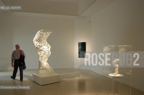 VENEZIA 09/09/04   - 9¡ MOSTRA INTERNAZIONALE DI ARCHITETTURA - BIENNALE ARCHITETTURA : PADIGLIONE USA - KOHL/MAC SUDIO : RESI_RISE SKYSCRAPER