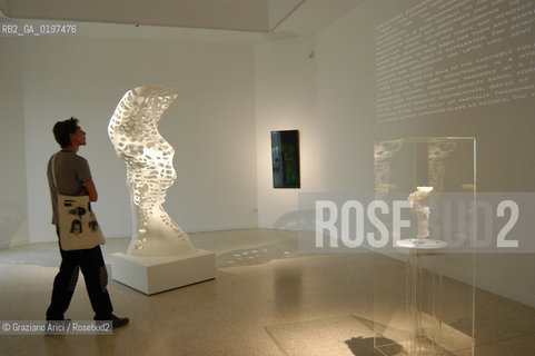 VENEZIA 09/09/04   - 9¡ MOSTRA INTERNAZIONALE DI ARCHITETTURA - BIENNALE ARCHITETTURA : PADIGLIONE USA - KOHL/MAC SUDIO : RESI_RISE SKYSCRAPER