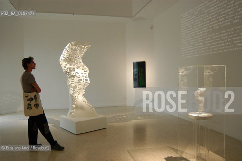 VENEZIA 09/09/04   - 9¡ MOSTRA INTERNAZIONALE DI ARCHITETTURA - BIENNALE ARCHITETTURA : PADIGLIONE USA - KOHL/MAC SUDIO : RESI_RISE SKYSCRAPER