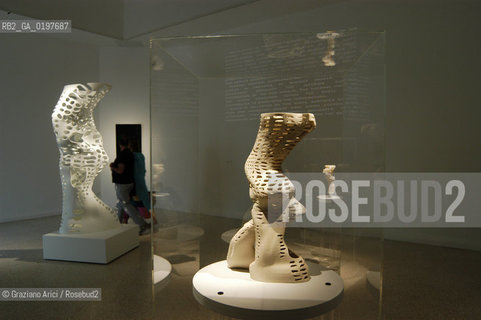 VENEZIA 09/09/04   - 9¡ MOSTRA INTERNAZIONALE DI ARCHITETTURA - BIENNALE ARCHITETTURA : PADIGLIONE USA - KOHL/MAC SUDIO : RESI_RISE SKYSCRAPER ©Graziano Arici/Rosebud2