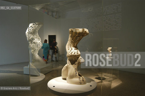 VENEZIA 09/09/04   - 9¡ MOSTRA INTERNAZIONALE DI ARCHITETTURA - BIENNALE ARCHITETTURA : PADIGLIONE USA - KOHL/MAC SUDIO : RESI_RISE SKYSCRAPER ©Graziano Arici/Rosebud2