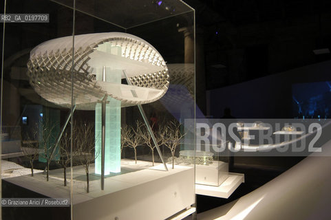 VENEZIA 09/09/04   - 9¡ MOSTRA INTERNAZIONALE DI ARCHITETTURA - BIENNALE ARCHITETTURA :WILKINSON EYRE ARCHITECTS - NEW CRISTAL PALACE ©Graziano Arici/Rosebud2