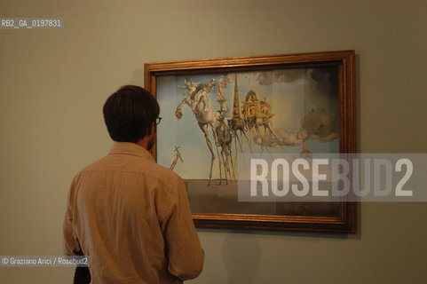 VENEZIA 09/09/04 MOSTRA DALI A PALAZZO GRASSI ©Graziano Arici/Rosebud2 ARTE