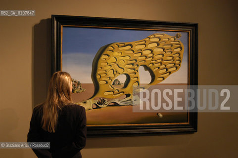 VENEZIA 09/09/04 MOSTRA DALI A PALAZZO GRASSI ©Graziano Arici/Rosebud2 ARTE