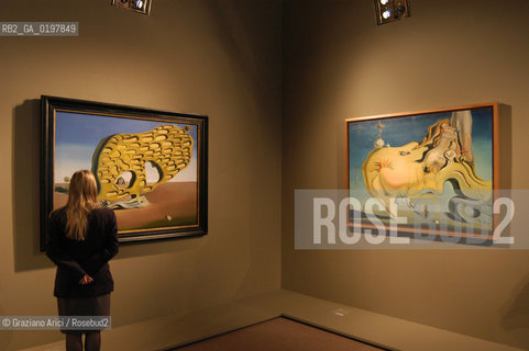 VENEZIA 09/09/04 MOSTRA DALI A PALAZZO GRASSI ©Graziano Arici/Rosebud2 ARTE