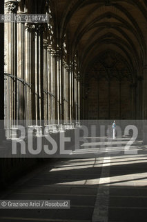 ( SPAGNA - SPAIN)    NAVARRA PAMPLONA - IRUNA. : THE CATHEDRAL CLOISTER  © 2004 Graziano Arici/Rosebud2 / GEO