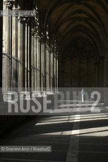 ( SPAGNA - SPAIN)    NAVARRA PAMPLONA - IRUNA. : THE CATHEDRAL CLOISTER  © 2004 Graziano Arici/Rosebud2 / GEO