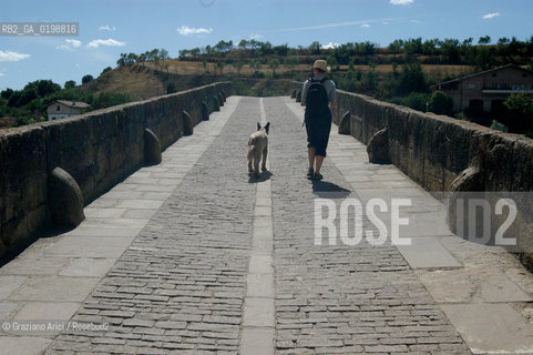 ( SPAGNA - SPAIN)    NAVARRA : PUENTE LA REINA: A  TOWN ON THE WAY TO SANTIAGO DE COMPOSTELA  - THE ROMANIC  BRIDGE © 2004 Graziano Arici/Rosebud2 / GEO PELLEGRINAGGIO CAMINO PONTE ROMANICO FIORE
