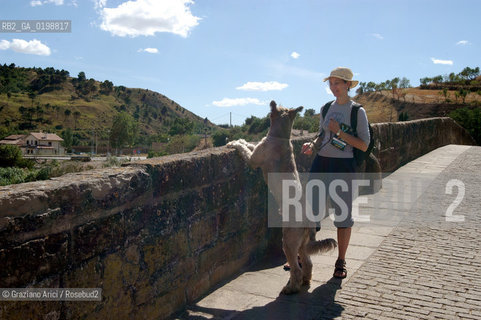 ( SPAGNA - SPAIN)    NAVARRA : PUENTE LA REINA: A  TOWN ON THE WAY TO SANTIAGO DE COMPOSTELA  - THE ROMANIC  BRIDGE © 2004 Graziano Arici/Rosebud2 / GEO PELLEGRINAGGIO CAMINO PONTE ROMANICO FIORE