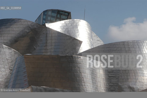 ( SPAGNA - SPAIN) BASQUE LAND VIZCAIA PAESI BASCHI : BILBAO : THE GUGGENHEIM MUSEUM DI FRANK GEHRY-  © 2004 Graziano Arici/Rosebud2 / GEO MUSEO ARCHITETTURA CONTEMPORANEA METALLO