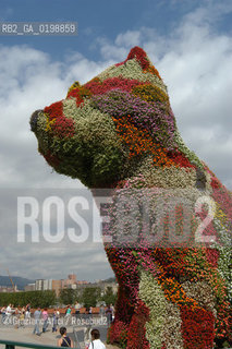 ( SPAGNA - SPAIN) BASQUE LAND VIZCAIA PAESI BASCHI : BILBAO : THE GUGGENHEIM MUSEUM DI FRANK GEHRY PUPPY BY JEFF KOONS -  © 2004 Graziano Arici/Rosebud2 / GEO MUSEO ARCHITETTURA CONTEMPORANEA METALLO GATTO.