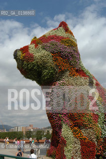 ( SPAGNA - SPAIN) BASQUE LAND VIZCAIA PAESI BASCHI : BILBAO : THE GUGGENHEIM MUSEUM DI FRANK GEHRY PUPPY BY JEFF KOONS -  © 2004 Graziano Arici/Rosebud2 / GEO MUSEO ARCHITETTURA CONTEMPORANEA METALLO GATTO.