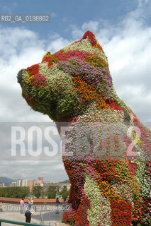 ( SPAGNA - SPAIN) BASQUE LAND VIZCAIA PAESI BASCHI : BILBAO : THE GUGGENHEIM MUSEUM DI FRANK GEHRY-  © 2004 Graziano Arici/Rosebud2 / GEO MUSEO ARCHITETTURA CONTEMPORANEA METALLO
