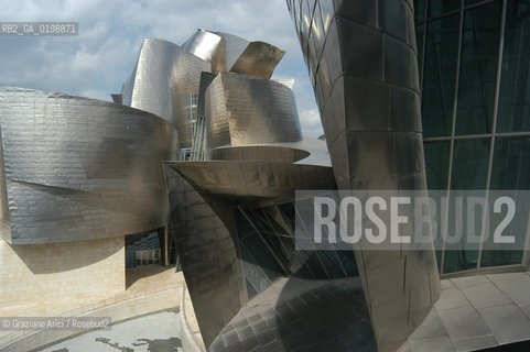 ( SPAGNA - SPAIN) BASQUE LAND VIZCAIA PAESI BASCHI : BILBAO : THE GUGGENHEIM MUSEUM DI FRANK GEHRY-  © 2004 Graziano Arici/Rosebud2 / GEO MUSEO ARCHITETTURA CONTEMPORANEA METALLO