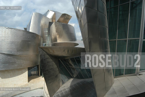( SPAGNA - SPAIN) BASQUE LAND VIZCAIA PAESI BASCHI : BILBAO : THE GUGGENHEIM MUSEUM DI FRANK GEHRY-  © 2004 Graziano Arici/Rosebud2 / GEO MUSEO ARCHITETTURA CONTEMPORANEA METALLO