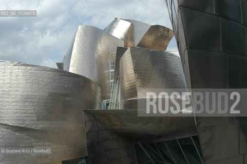 ( SPAGNA - SPAIN) BASQUE LAND VIZCAIA PAESI BASCHI : BILBAO : THE GUGGENHEIM MUSEUM DI FRANK GEHRY-  © 2004 Graziano Arici/Rosebud2 / GEO MUSEO ARCHITETTURA CONTEMPORANEA METALLO