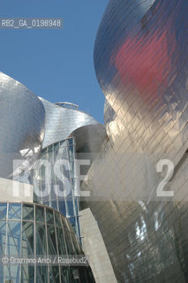 ( SPAGNA - SPAIN) BASQUE LAND VIZCAIA PAESI BASCHI : BILBAO : THE GUGGENHEIM MUSEUM DI FRANK GEHRY-  © 2004 Graziano Arici/Rosebud2 / GEO MUSEO ARCHITETTURA CONTEMPORANEA METALLO