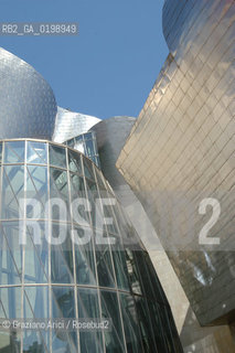 ( SPAGNA - SPAIN) BASQUE LAND VIZCAIA PAESI BASCHI : BILBAO : THE GUGGENHEIM MUSEUM DI FRANK GEHRY-  © 2004 Graziano Arici/Rosebud2 / GEO MUSEO ARCHITETTURA CONTEMPORANEA METALLO