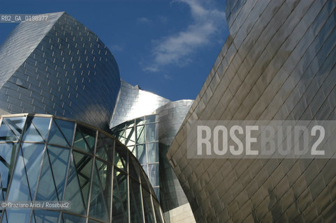 ( SPAGNA - SPAIN) BASQUE LAND VIZCAIA PAESI BASCHI : BILBAO : THE GUGGENHEIM MUSEUM DI FRANK GEHRY-  © 2004 Graziano Arici/Rosebud2 / GEO MUSEO ARCHITETTURA CONTEMPORANEA METALLO
