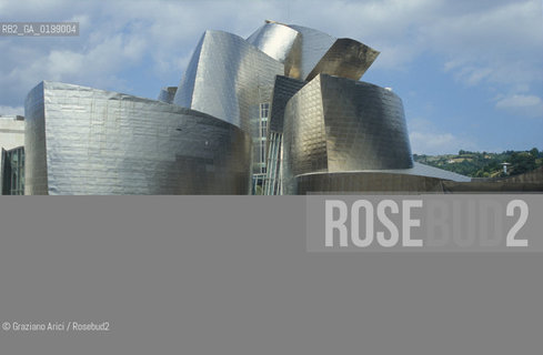 ( SPAGNA - SPAIN) BASQUE LAND VIZCAIA PAESI BASCHI : BILBAO : THE GUGGENHEIM MUSEUM DI FRANK GEHRY-  © 2004 Graziano Arici/Rosebud2 / GEO MUSEO ARCHITETTURA CONTEMPORANEA METALLO