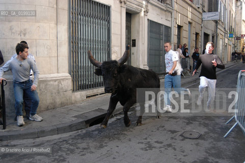 FRANCIA ARLES (PROVENCE-PROVENZA) MARZO 2005 - MANIFESTAZIONI PER LA FERIA DI PASQUA ©Graziano Arici/Rosebud2 GEO TORO CAVALLO COURSE CAMARGUE