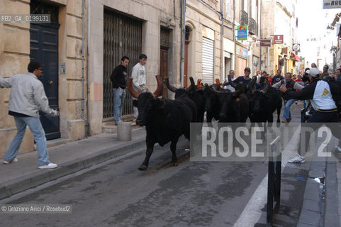 FRANCIA ARLES (PROVENCE-PROVENZA) MARZO 2005 - MANIFESTAZIONI PER LA FERIA DI PASQUA ©Graziano Arici/Rosebud2 GEO TORO CAVALLO COURSE CAMARGUE