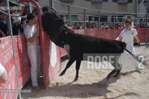 FRANCIA ARLES (PROVENCE-PROVENZA) MARZO 2005 - MANIFESTAZIONI PER LA FERIA DI PASQUA ©Graziano Arici/Rosebud2 GEO TORO CAVALLO COURSE CAMARGUE