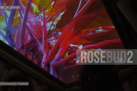 VENEZIA8/06/05 - 51 ESPOSIZIONE INTERNAZIONALE DARTE -CHIESA DI S.STAE - S.STAE  CHURCH - THE INSTALLATION OF THE ARTIST PIPILOTTI RIST ©Graziano Arici/Rosebud2 BIENNALE