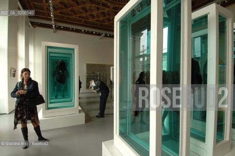 VENICE 27 APRILE 2006 -  MOSTRA A PALAZZO GRASSI  WHERE ARE WE GOING? - ÒWHERE ARE WE GOING? WHERE DO WE COME FROM? IS THERE A REASON?  AND SOME COMFORT GAINED FROM THE ACCEPTANCE OF INHERENT LIES IN EVERYTHING BY DAMIEN HIRST -  ©Graziano Arici/Rosebud2 ARTE