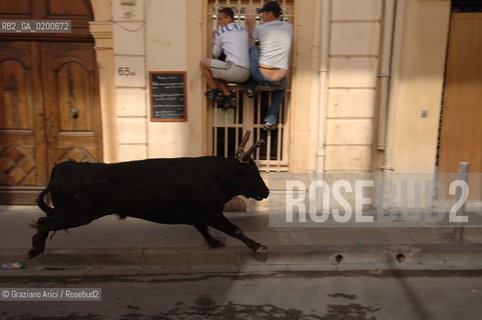 FRANCIA ARLES (PROVENCE-PROVENZA) MARZO 2006 - MANIFESTAZIONI PER LA FERIA DI PASQUA ©Graziano Arici/Rosebud2 GEO TORO CAVALLO COURSE CAMARGUE