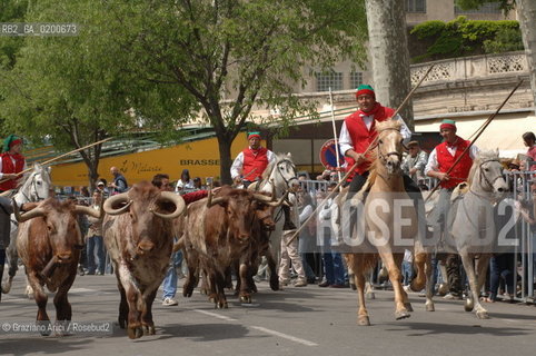 FRANCIA ARLES (PROVENCE-PROVENZA) MARZO 2006 - MANIFESTAZIONI PER LA FERIA DI PASQUA ©Graziano Arici/Rosebud2 GEO TORO CAVALLO COURSE CAMARGUE