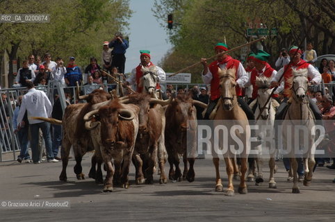FRANCIA ARLES (PROVENCE-PROVENZA) MARZO 2006 - MANIFESTAZIONI PER LA FERIA DI PASQUA ©Graziano Arici/Rosebud2 GEO TORO CAVALLO COURSE CAMARGUE