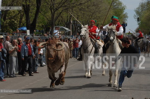 FRANCIA ARLES (PROVENCE-PROVENZA) MARZO 2006 - MANIFESTAZIONI PER LA FERIA DI PASQUA ©Graziano Arici/Rosebud2 GEO TORO CAVALLO COURSE CAMARGUE