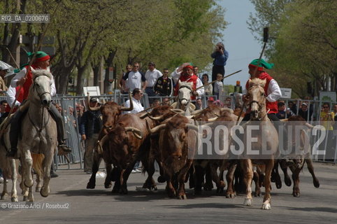 FRANCIA ARLES (PROVENCE-PROVENZA) MARZO 2006 - MANIFESTAZIONI PER LA FERIA DI PASQUA ©Graziano Arici/Rosebud2 GEO TORO CAVALLO COURSE CAMARGUE