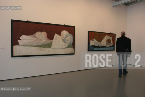 VENEZIA 9 NOVEMBRE 2006 - EXPOSITION IN PALAZZO GRASSI : PICASSO: LA JOIE DE VIVRE 1945/1948  ©Graziano Arici/Rosebud2