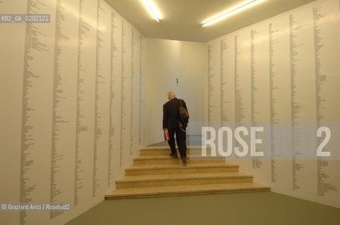 VENICE 04//6/07 - THE 52sd VENICE ART EXPOSITION : THINK WITH THE SENSES, FEEL WITH THE MIND : IGNASI ABALLIS ROOM  @ Graziano Arici/Rosebud2 ARTE ARTISTI BIENNALE