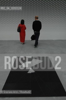 VENICE 04//6/07 - THE 52sd VENICE ART EXPOSITION : THINK WITH THE SENSES, FEEL WITH THE MIND : IRAN DO SPIRITO SANTOS ROOM  @ Graziano Arici/Rosebud2 ARTE ARTISTI BIENNALE